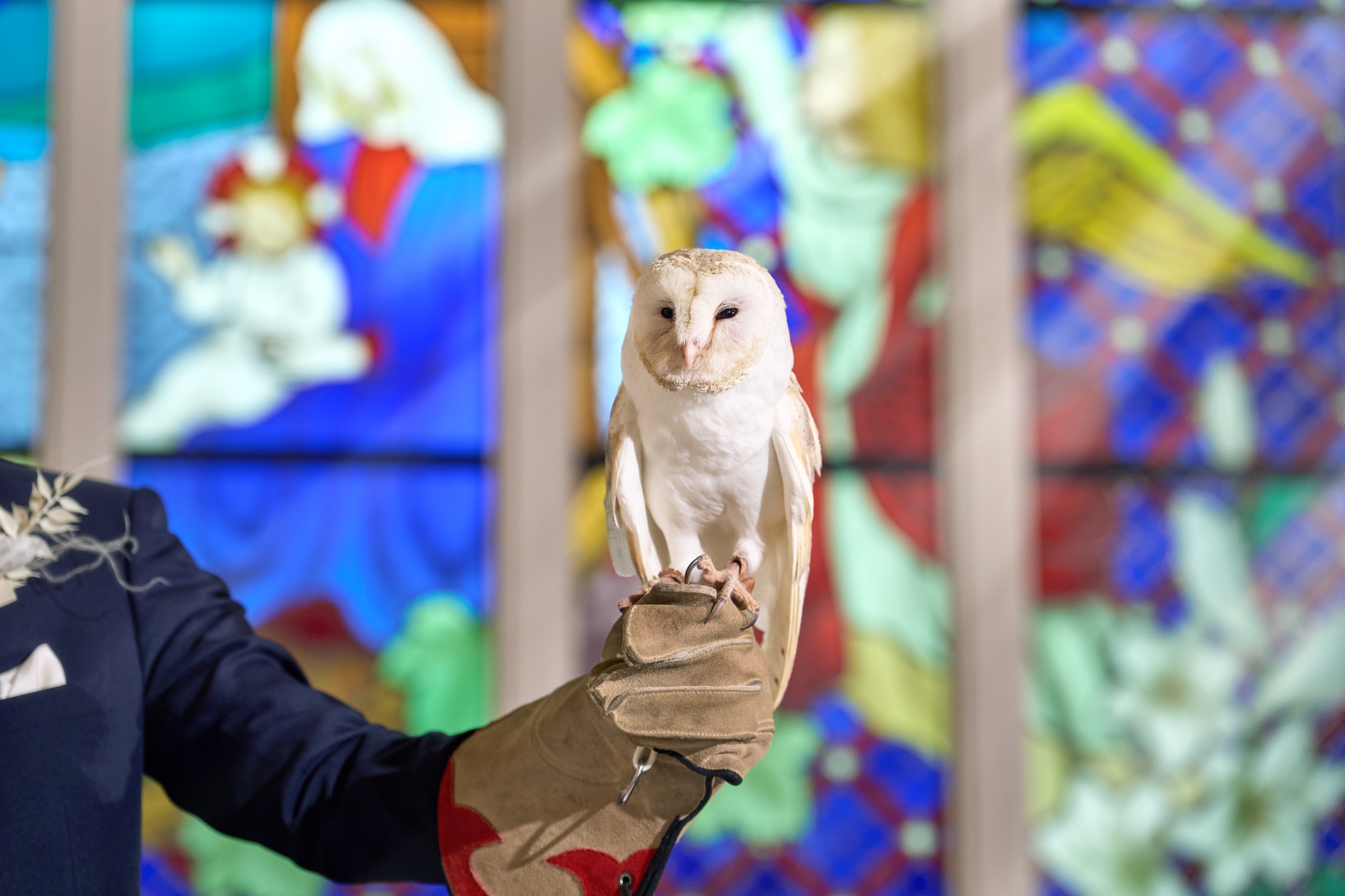 フクロウとの記念撮影イメージ